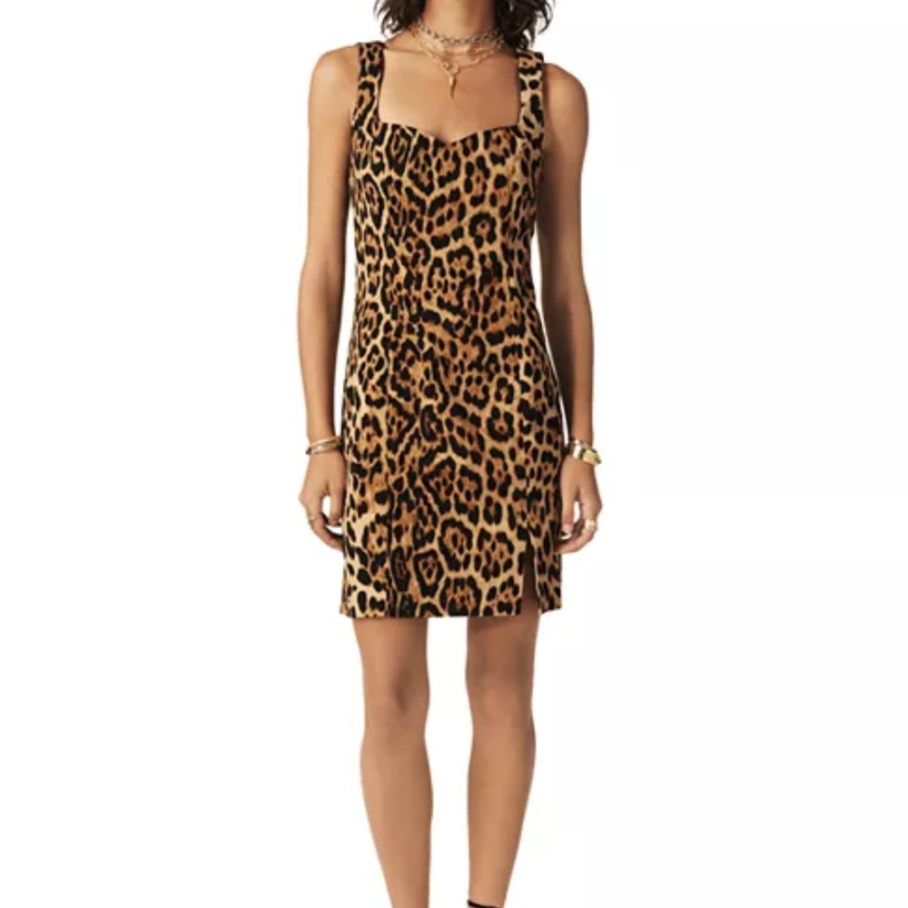 Maryam Nassir Zadeh x BA&SH Leopard “CEVEN” Dress!